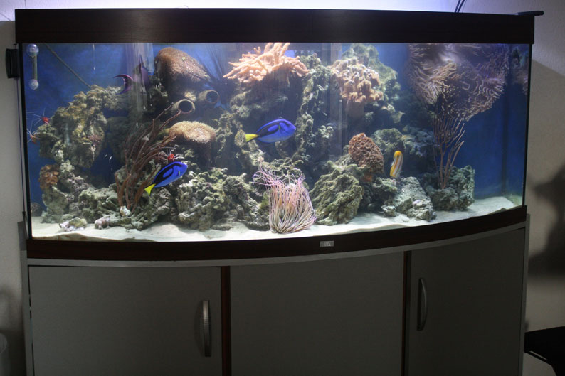 морской аквариум купить в москве недорого