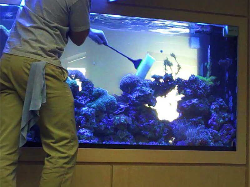 качественное обслуживание аквариумов