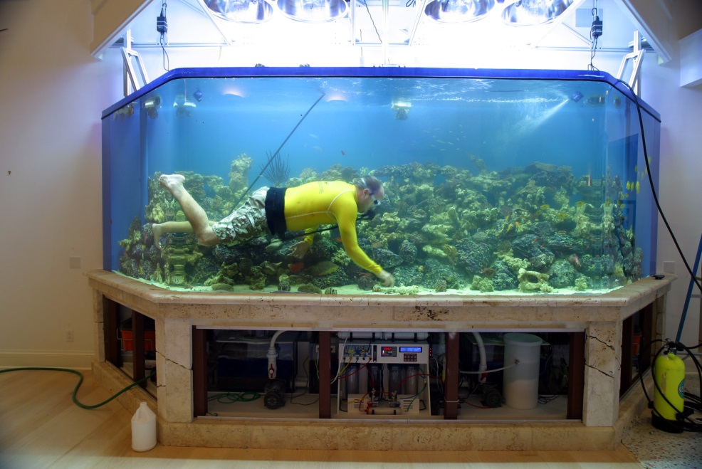 аквариум на заказ в москве